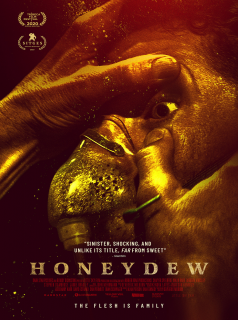 Honeydew streaming