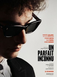 Un Parfait Inconnu streaming