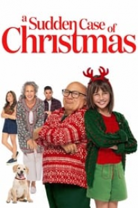 A Sudden Case of Christmas streaming