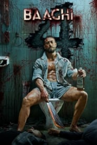 Baaghi 4 streaming