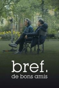 Bref. De bons amis streaming