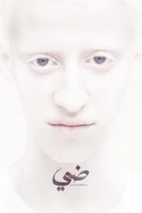 The Tale of Daye's Family streaming