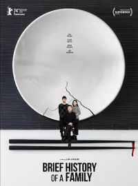 Brief History of a Family streaming