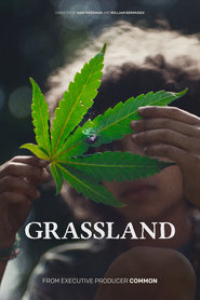 Grassland streaming