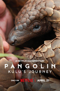 Pangolin : Chemins de vie streaming