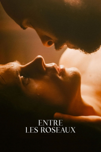 Entre les roseaux streaming