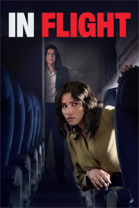 In Flight streaming