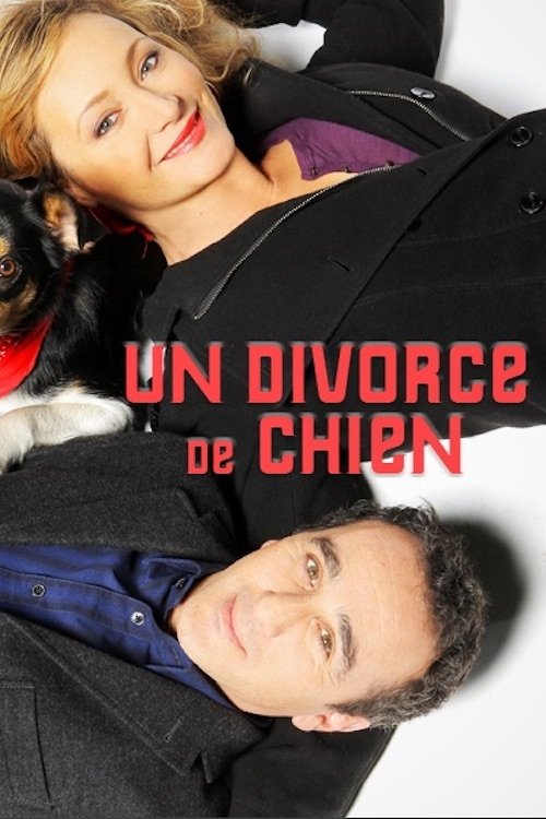 Un divorce de chien streaming