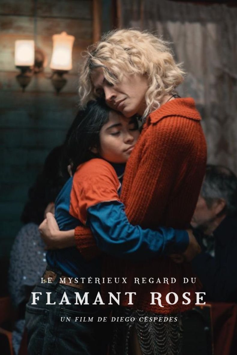 Le Mystérieux regard du flamant rose streaming