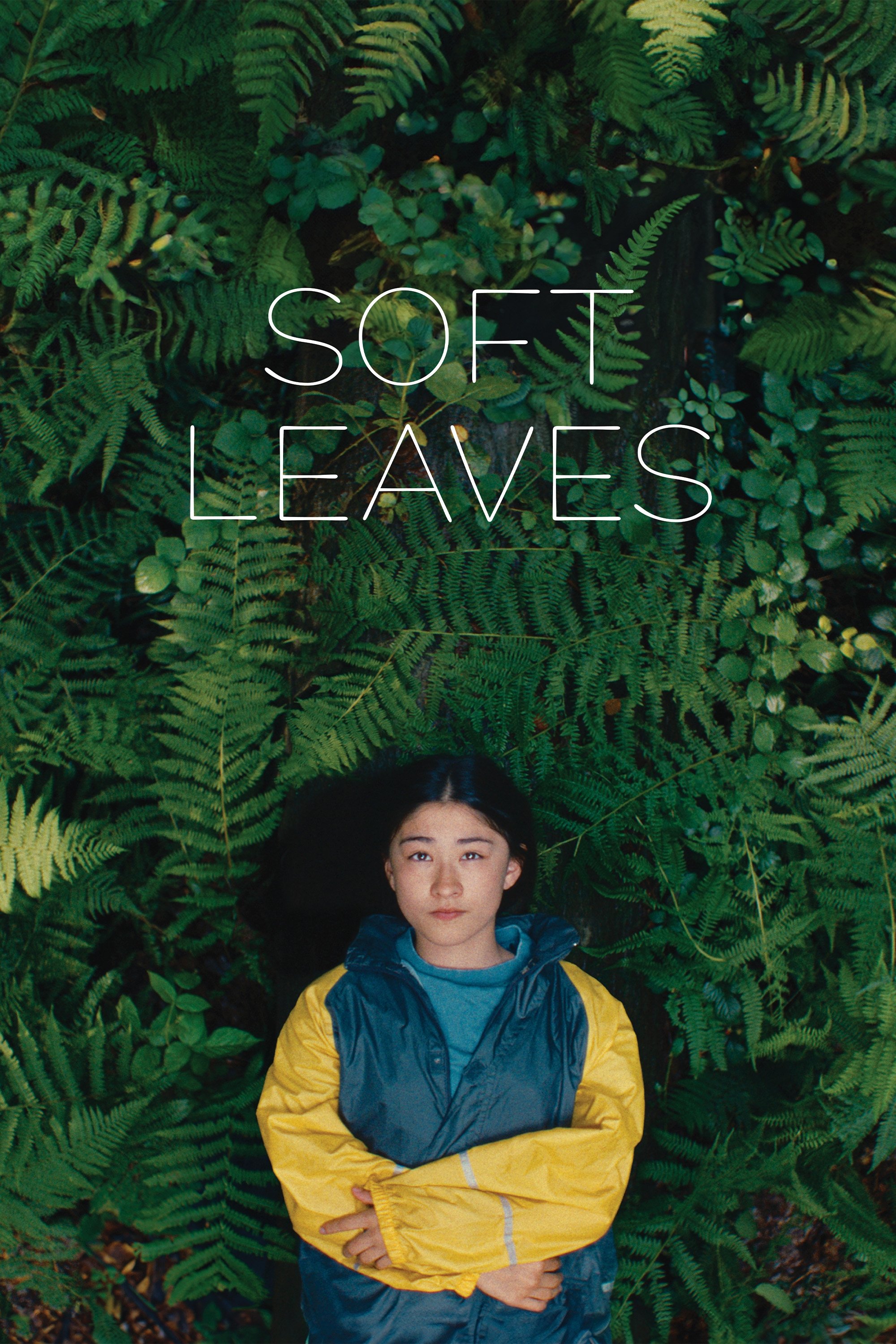 Soft Leaves streaming français Soft Leaves streaming