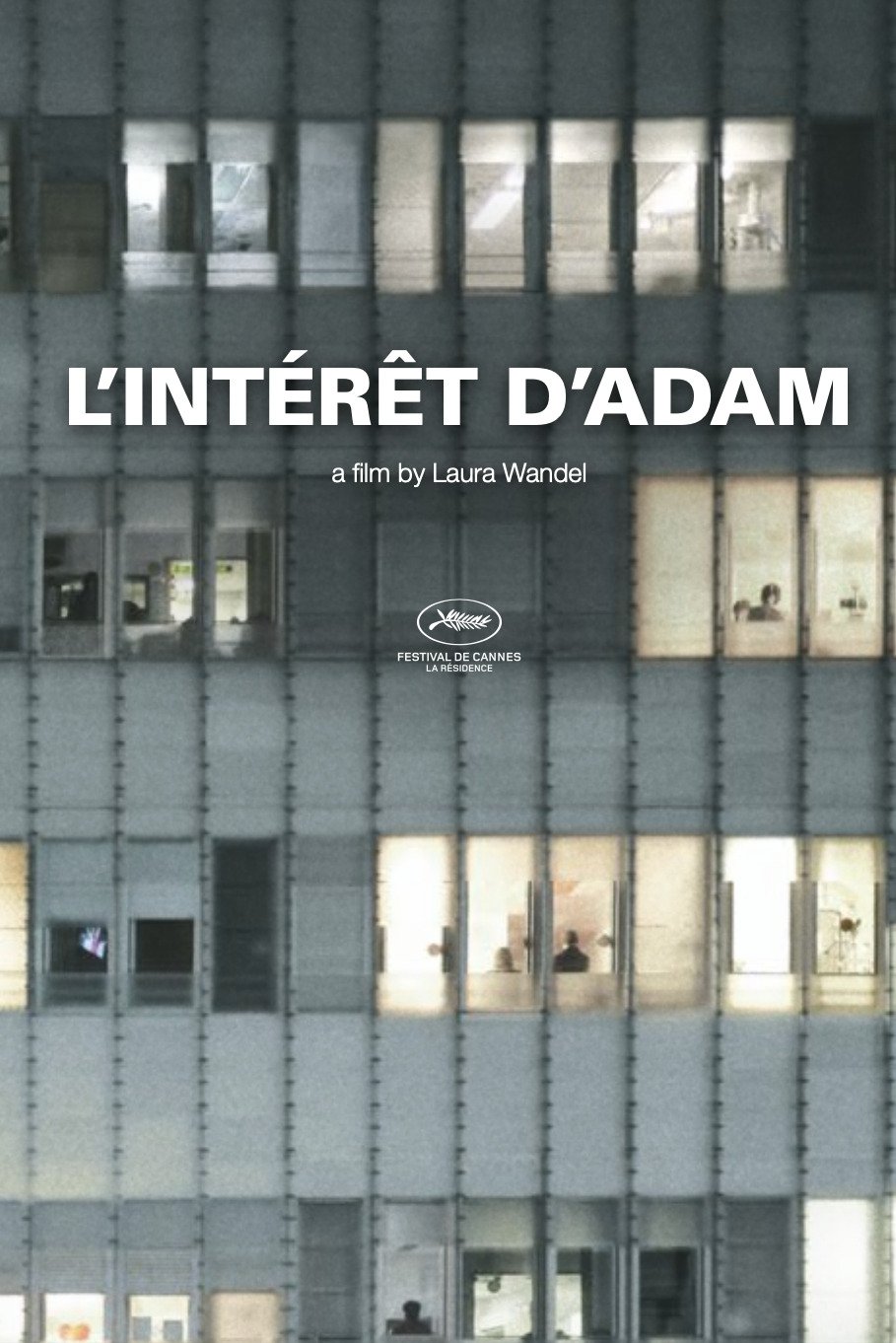 L'Intérêt d'Adam streaming