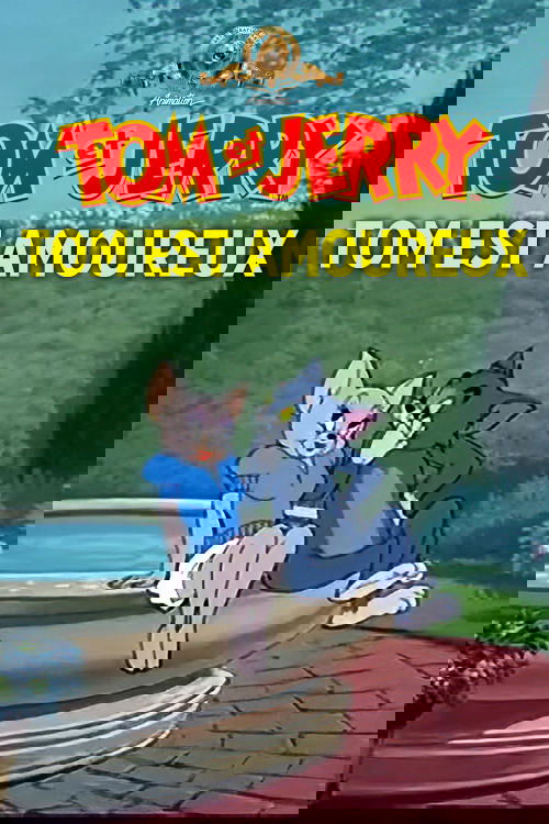 Tom est amoureux streaming français Tom est amoureux streaming