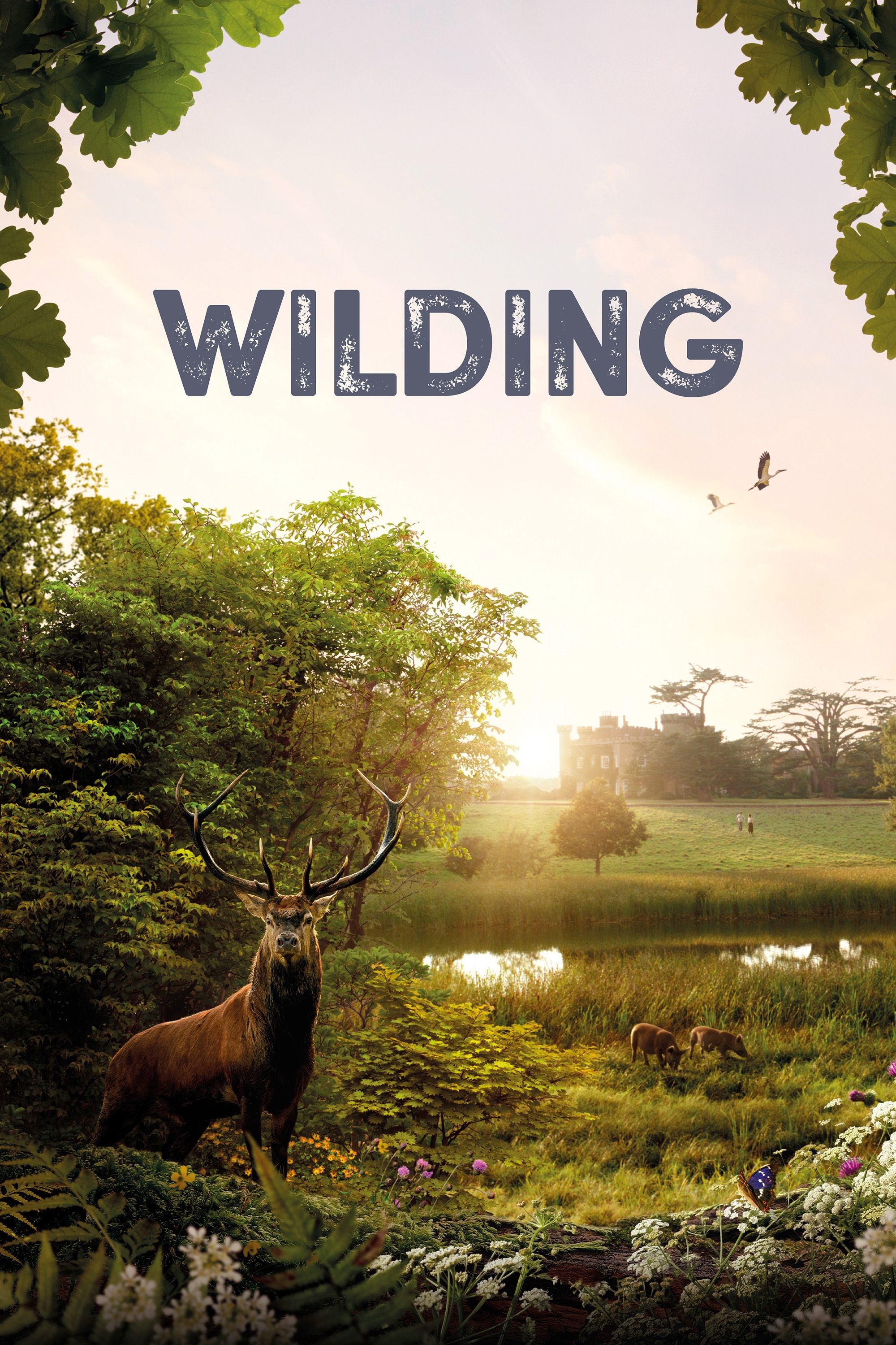 Wilding, Retour à la Nature Sauvage streaming