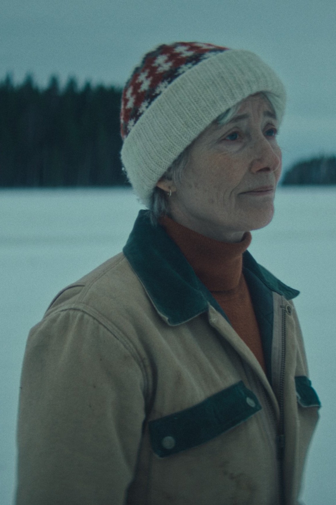 Dead of Winter streaming