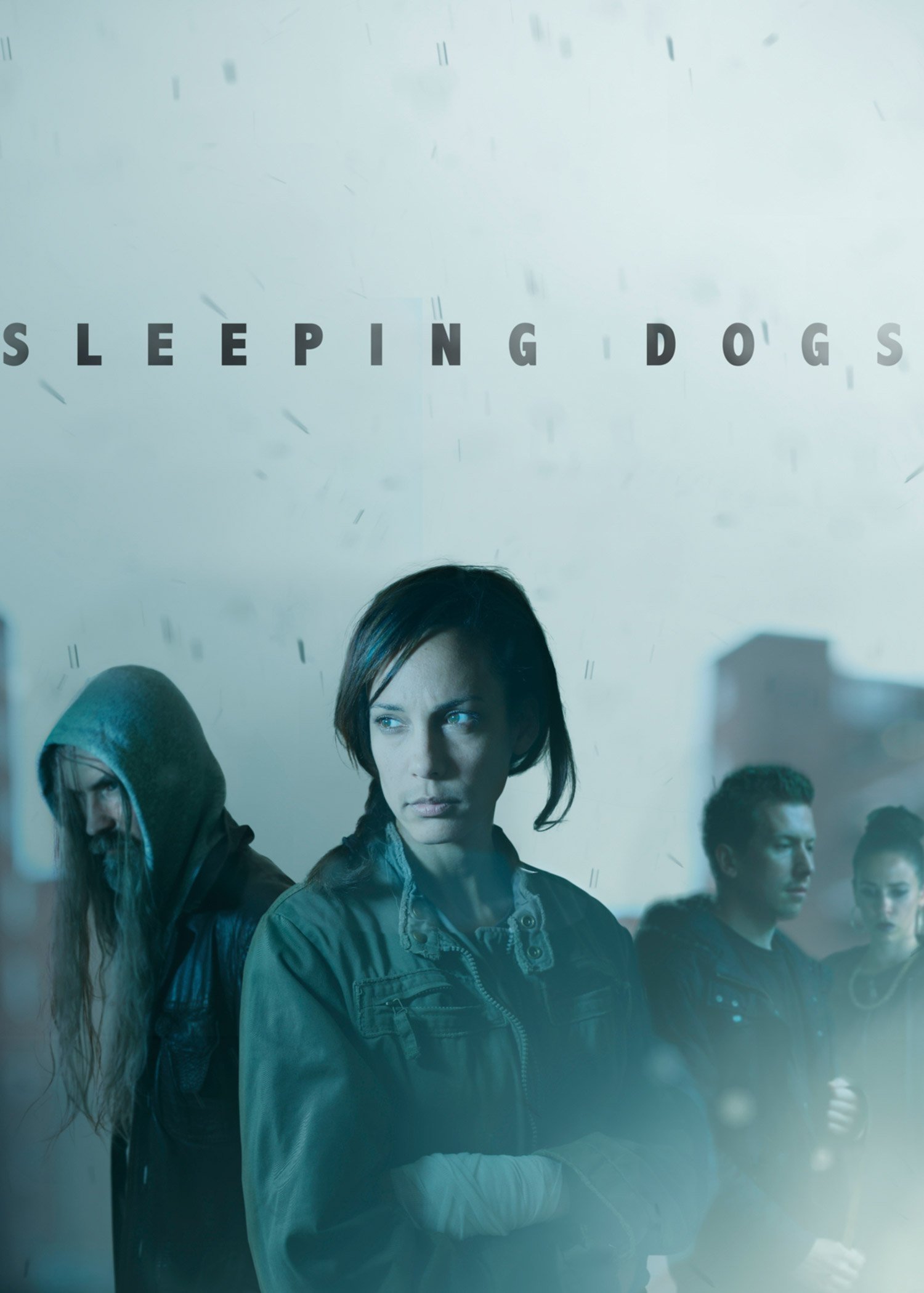 Sleeping Dogs streaming français Sleeping Dogs streaming