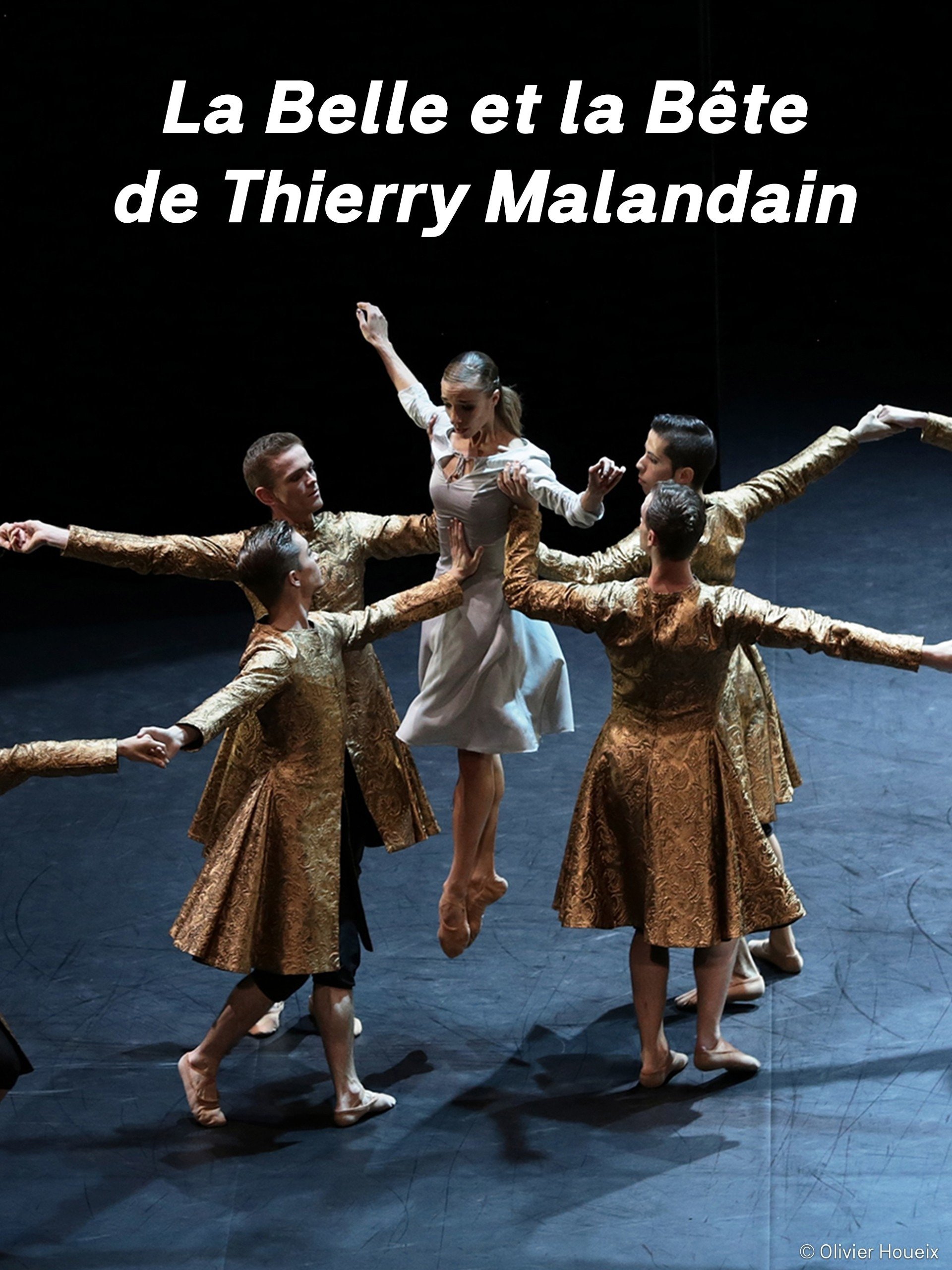 La Belle et la Bête streaming français La Belle et la Bête streaming