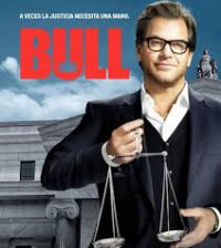 Bull Saison 1 en streaming français Bull Saison 1 en streaming français