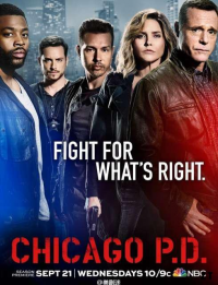Chicago Police Department saison 1