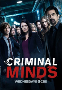 Esprits criminels saison 5