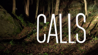Calls Saison 1 en streaming français Calls Saison 1 en streaming français