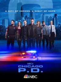 Chicago Police Department saison 7