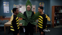 Community saison 2