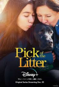 Pick of the Litter streaming Pick of the Litter streaming