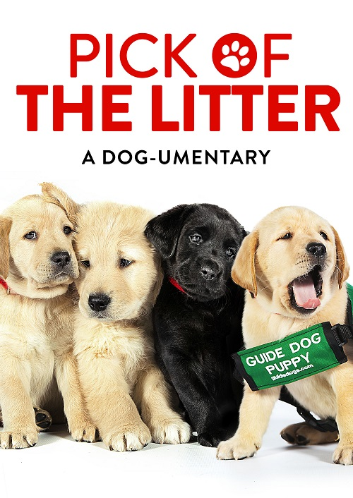 Pick of the Litter saison 1 épisode 2 Pick of the Litter saison 1 épisode 2