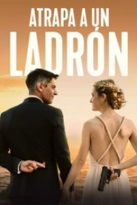 To Catch A Thief saison 1