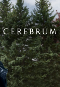 Cerebrum Saison 2 en streaming français