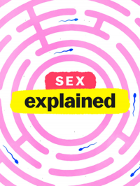 Le sexe en bref streaming Le sexe en bref streaming