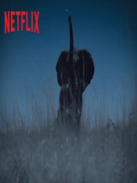 La Terre, La Nuit streaming La Terre, La Nuit streaming
