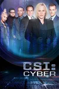 Les Experts : Cyber streaming
