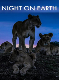 Night on Earth saison 1