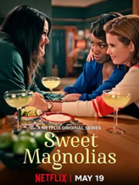 A l'ombre des magnolias Saison 1 en streaming français A l'ombre des magnolias Saison 1 en streaming français