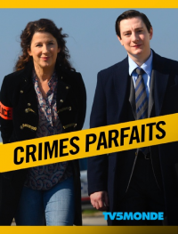 Crimes parfaits streaming