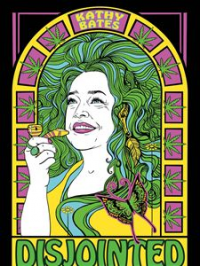 Disjointed Saison 1 en streaming français Disjointed Saison 1 en streaming français