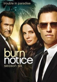 Burn Notice saison 6