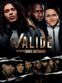 Validé (Valide) saison 1