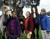 Grand galop streaming Grand galop streaming