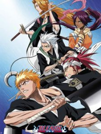 Bleach saison 1