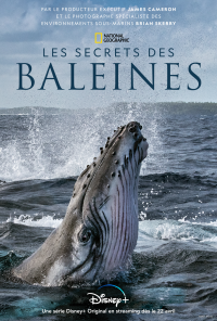 Les Secrets des baleines streaming Les Secrets des baleines streaming