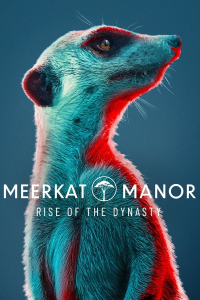 Meerkat Manor : Rise of the Dynasty saison 1 épisode 9 Meerkat Manor : Rise of the Dynasty saison 1 épisode 9