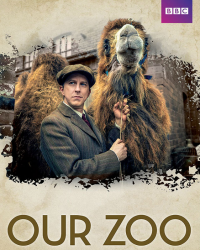 Our Zoo streaming