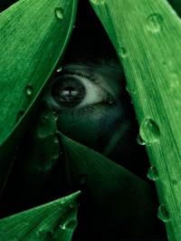 The River Saison 1 en streaming français The River Saison 1 en streaming français