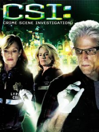 Les Experts saison 12