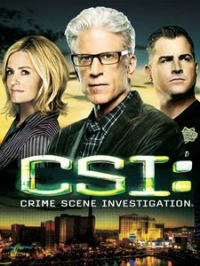 Les Experts saison 13