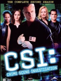 Les Experts saison 2