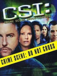 Les Experts saison 4