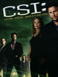 Les Experts Saison 5 en streaming français Les Experts Saison 5 en streaming français